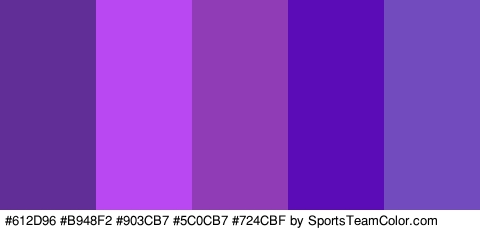 #612D96 #B948F2 #903CB7 #5C0CB7 #724CBF Colors