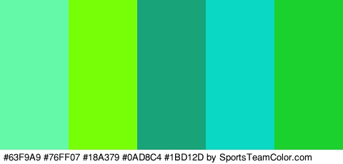 #63F9A9 #76FF07 #18A379 #0AD8C4 #1BD12D Colors