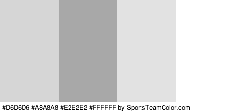 #D6D6D6 #A8A8A8 #E2E2E2 #FFFFFF Colors