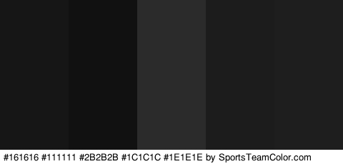 #161616 #111111 #2B2B2B #1C1C1C #1E1E1E Colors