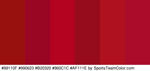 #99110F #990623 #B20320 #960C1C #AF111E #AA0D2A Colors