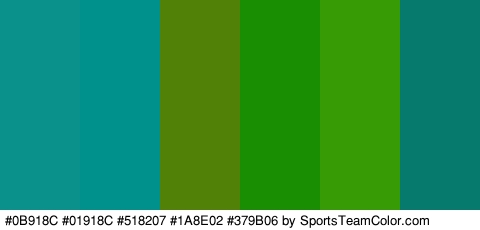 #0B918C #01918C #518207 #1A8E02 #379B06 #077A6E Colors