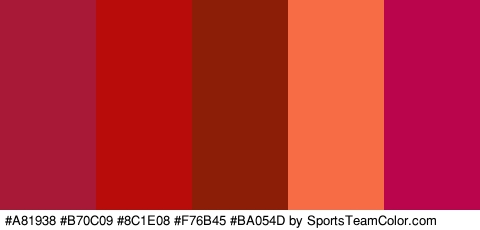 #A81938 #B70C09 #8C1E08 #F76B45 #BA054D Colors