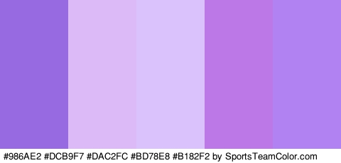 #986AE2 #DCB9F7 #DAC2FC #BD78E8 #B182F2 Colors