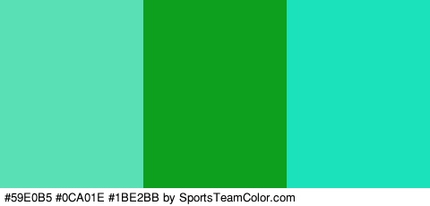 #59E0B5 #0CA01E #1BE2BB Colors