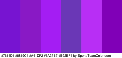 #7614D1 #8819C4 #A41DF2 #6A37B7 #B92EF4 #8000B7 Colors