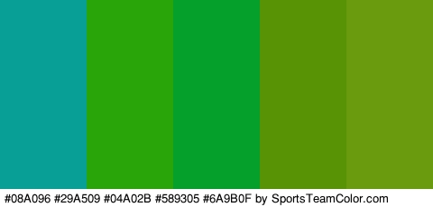 #08A096 #29A509 #04A02B #589305 #6A9B0F Colors