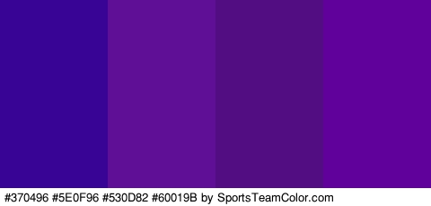 #370496 #5E0F96 #530D82 #60019B Colors