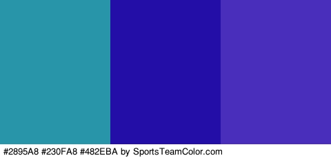 #2895A8 #230FA8 #482EBA Colors