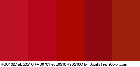 #BC1027 #B5051C #AD0701 #8E0910 #9B210C Colors