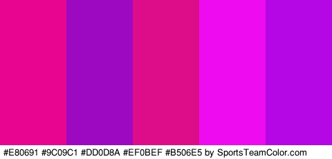 #E80691 #9C09C1 #DD0D8A #EF0BEF #B506E5 Colors