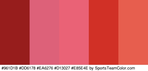 #961D1B #DD6178 #EA6276 #D13027 #E85E4E Colors