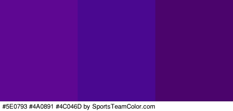 #5E0793 #4A0891 #4C046D Colors