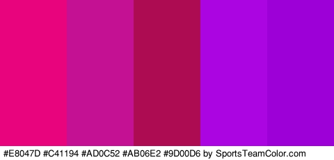 #E8047D #C41194 #AD0C52 #AB06E2 #9D00D6 Colors