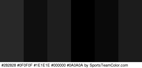 #282828 #0F0F0F #1E1E1E #000000 #0A0A0A #1C1C1C Colors