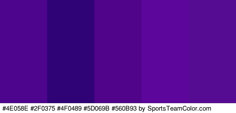 #4E058E #2F0375 #4F0489 #5D069B #560B93 Colors