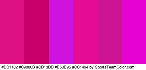 #DD1182 #C9006B #CD13DD #E50B95 #CC1494 #E502D2 Colors