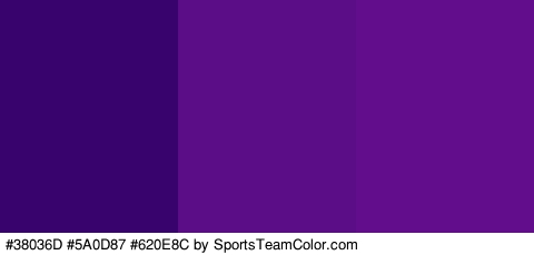 #38036D #5A0D87 #620E8C Colors