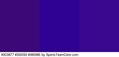 #3C0877 #300293 #38098E Colors