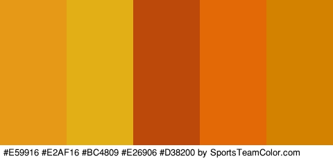 #E59916 #E2AF16 #BC4809 #E26906 #D38200 Colors