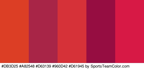 #DB3D25 #A82548 #D63139 #960D42 #D61945 Colors