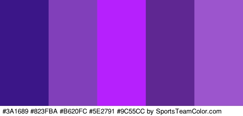 #3A1689 #823FBA #B620FC #5E2791 #9C55CC Colors