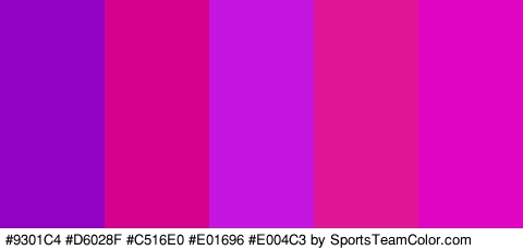 #9301C4 #D6028F #C516E0 #E01696 #E004C3 Colors