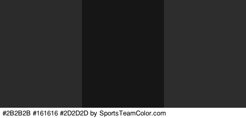 #2B2B2B #161616 #2D2D2D Colors