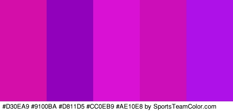 #D30EA9 #9100BA #D811D5 #CC0EB9 #AE10E8 Colors