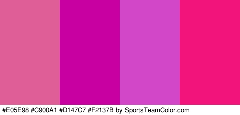 #E05E98 #C900A1 #D147C7 #F2137B Colors