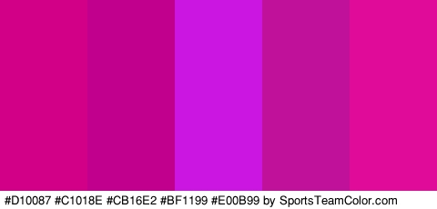 #D10087 #C1018E #CB16E2 #BF1199 #E00B99 Colors