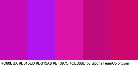 #C60BBA #B015ED #DB13A6 #BF097C #CE066D Colors