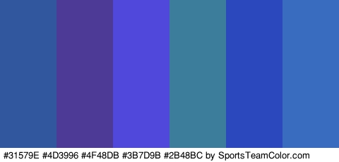 #31579E #4D3996 #4F48DB #3B7D9B #2B48BC #396CBF Colors