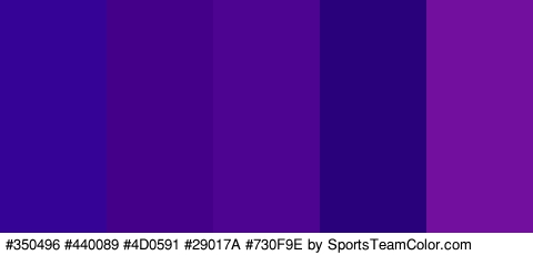 #350496 #440089 #4D0591 #29017A #730F9E Colors