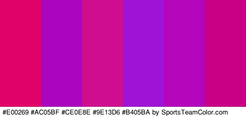 #E00269 #AC05BF #CE0E8E #9E13D6 #B405BA #C90086 Colors