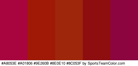 #A8053E #A01806 #9E260B #8E0E10 #8C053F Colors