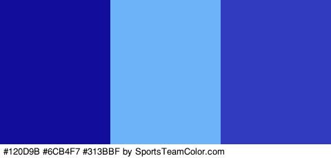 #120D9B #6CB4F7 #313BBF Colors