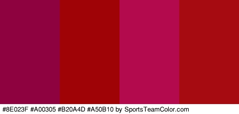 #8E023F #A00305 #B20A4D #A50B10 Colors