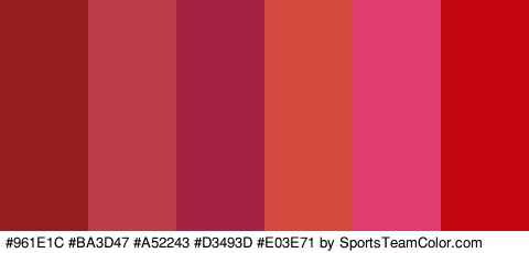 #961E1C #BA3D47 #A52243 #D3493D #E03E71 #C4070E Colors