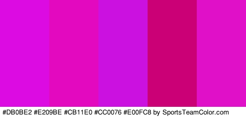 #DB0BE2 #E209BE #CB11E0 #CC0076 #E00FC8 Colors