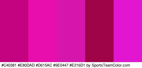 #C40381 #E80DAD #D615AC #9E0447 #E216D1 Colors