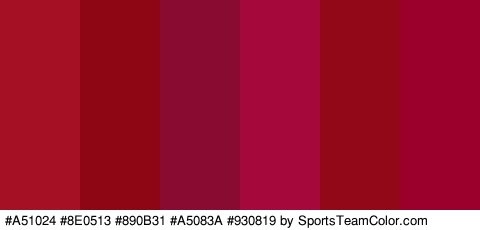 #A51024 #8E0513 #890B31 #A5083A #930819 #9B002C Colors