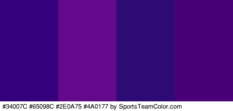 #34007C #65098C #2E0A75 #4A0177 Colors