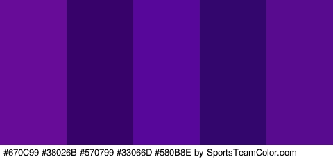 #670C99 #38026B #570799 #33066D #580B8E Colors