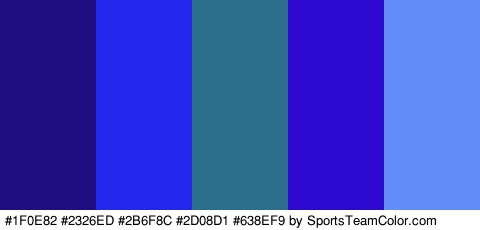 #1F0E82 #2326ED #2B6F8C #2D08D1 #638EF9 Colors