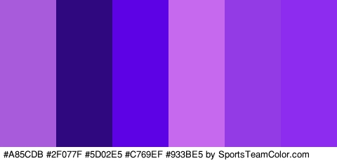 #A85CDB #2F077F #5D02E5 #C769EF #933BE5 #8D2BEF Colors