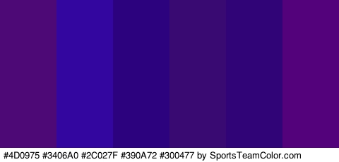 #4D0975 #3406A0 #2C027F #390A72 #300477 #54027C Colors