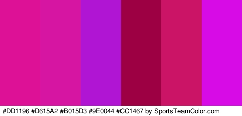 #DD1196 #D615A2 #B015D3 #9E0044 #CC1467 #D60BE5 Colors