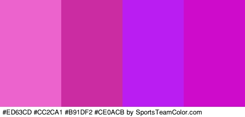 #ED63CD #CC2CA1 #B91DF2 #CE0ACB Colors