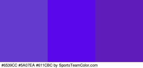 #6539CC #5A07EA #611CBC Colors